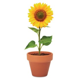 Pot graines de tournesol Sunflower 