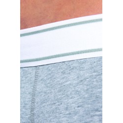 Boxer 