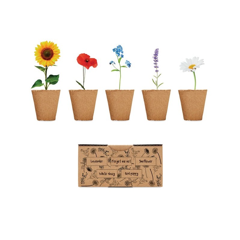 Kit de culture de fleurs 