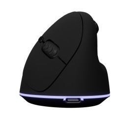 souris ergonomique sans fil 