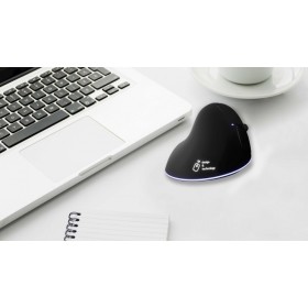 souris ergonomique sans fil 