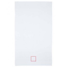 Serviette en coton 550 g/m² 100x180 cm Riley 