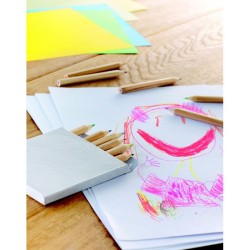 Etui fenêtre 12 crayons Arcolor 