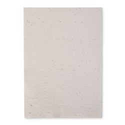 Papier A4 graines de fleurs Asidi 