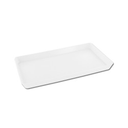 Mini Plateau 25X15X2 Cm 