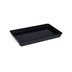 Mini Plateau 25X15X2 Cm 