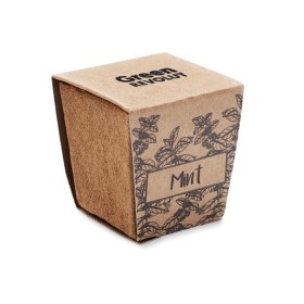 Kit de graines de menthe 