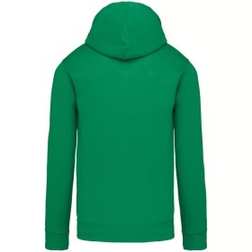 Sweat-Shirt Capuche Contrastée Homme 