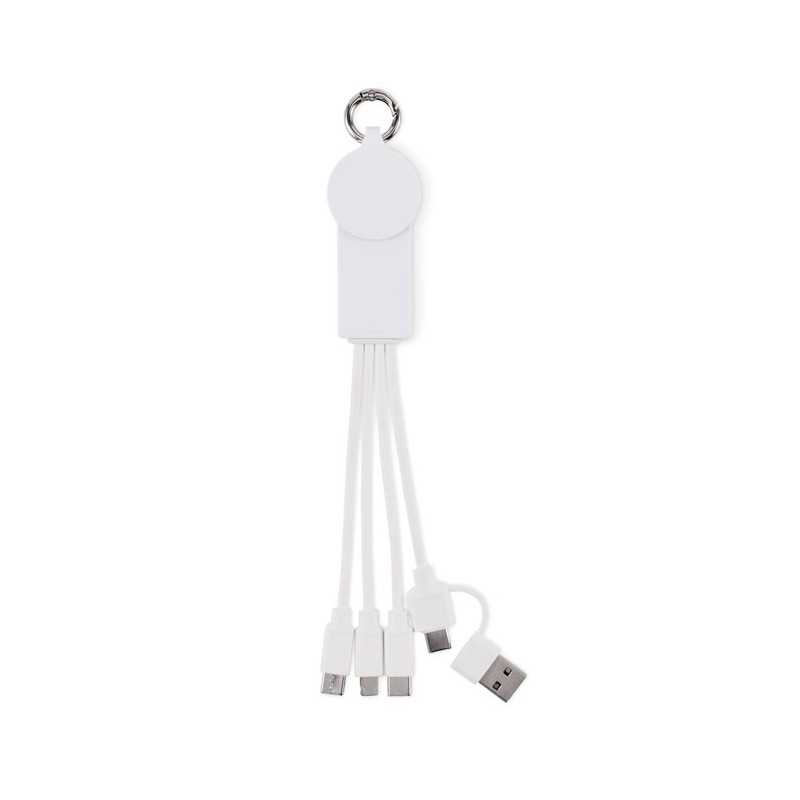 Câble de 2 en 1 de type C IcabCouleur:Blanc