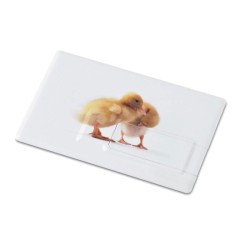 Creditcard. USB flash 16GB MemoramaCouleur:Blanc