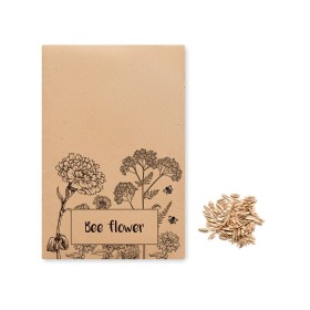Graines de tournesol GirasolCouleur:Beige