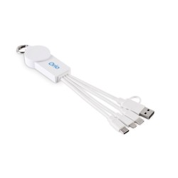 Câble de 2 en 1 de type C IcabCouleur:Blanc