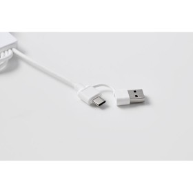 Câble de 2 en 1 de type C IcabCouleur:Blanc