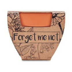 Pot graines de myosotis Forget Me NotCouleur:Bois