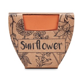 Pot graines de tournesol SunflowerCouleur:Bois