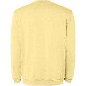 Pull ras du cou Jaya unisexeCouleur:Jaune