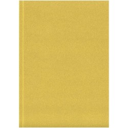 Cahier A5 Novella Austen à couverture souple métallisée de 100 feuillesCouleur:Doré