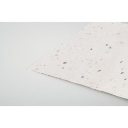 Carte de visite pour les graineCouleur:Blanc