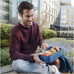 Grande boîte à déjeuner Take-a-breakCouleur:Blanc