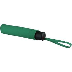 Parapluie pliable 21,5" IdaCouleur:Vert
