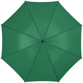 Parapluie à ouverture automatique 23" BarryCouleur:Vert