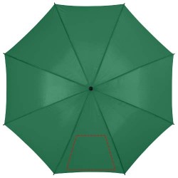 Parapluie à ouverture automatique 23" BarryCouleur:Vert
