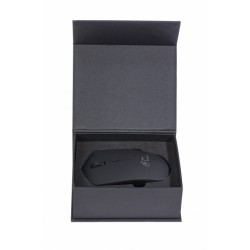 souris avec chargement sans fil & base à induction 10W