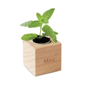 Pot en bois avec graine Menthe Menta 